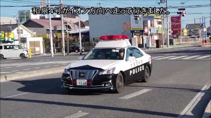 【パトカー緊急走行】大阪府警　和泉４号！現場へ急行！白昼の出来事　Japanese　police　Osaka