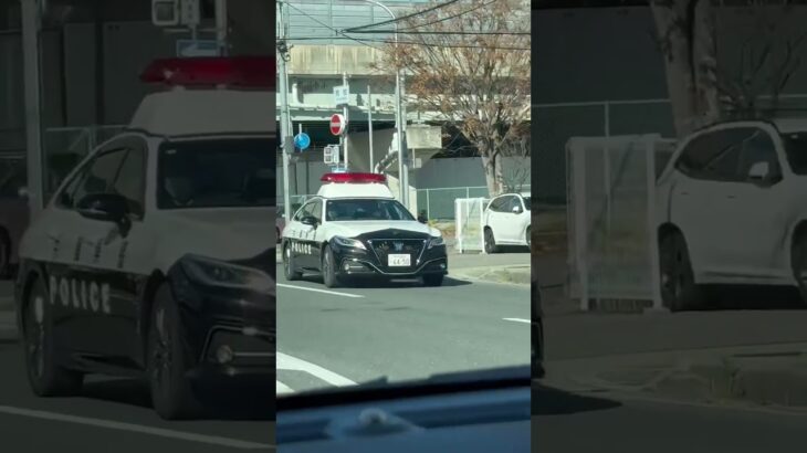 🚨パトカー🚨兵庫県警🚨パトロール🚨　#shorts