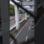 🚨高速道路を走る消防庁車両🚨レア🚨消防車🚨レスキュー車🚨消防車両🚨消防庁🚨　#shorts