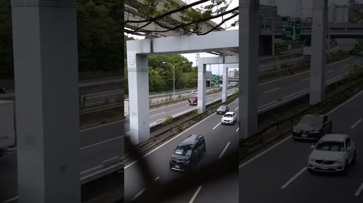 🚨レア🚨高速道路を走る消防庁車両🚨消防庁🚨消防車🚨レスキュー車🚨消防庁車両🚨　#shorts