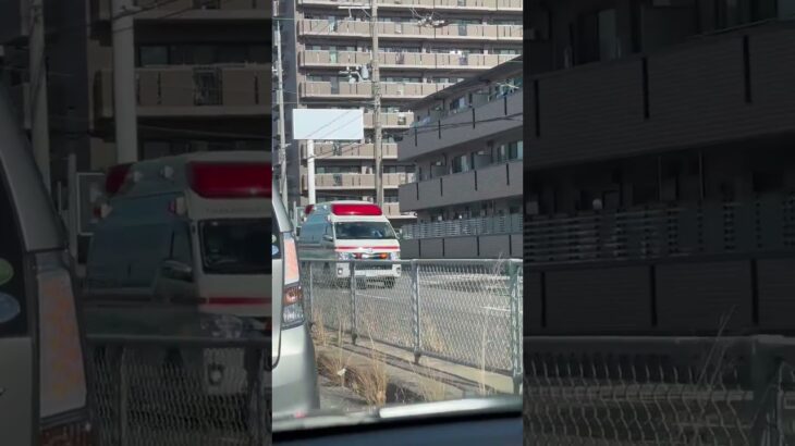 🚨響き渡るサイレン🚨救急車🚨緊急走行🚨丹波篠山市消防本部🚨赤色灯🚨    #shorts