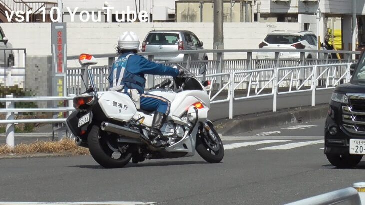 【車の影に歩行者！！】白バイと警察官の前で歩行者を轢きかけた結果…！