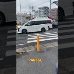 救急車🚑　緊急走行　松戸駅西