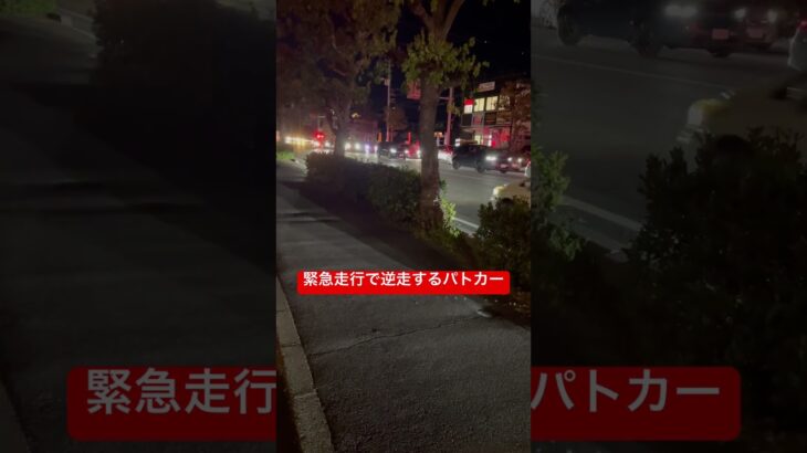 緊急走行で逆走するパトカー