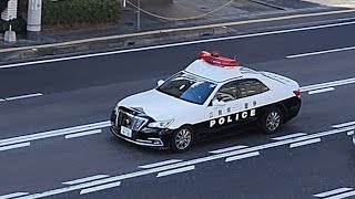 パトカー　緊急走行