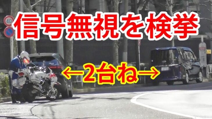 矢印のトリック？先頭車に釣られ後続車も信号無視…2台の違反車を緊急走行で検挙する交機の白バイ