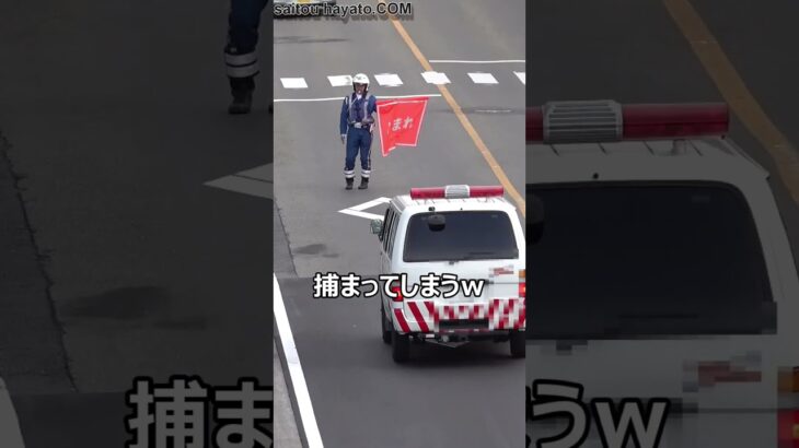 【まさかの瞬間】警視庁と埼玉県警から緊急車両の指定を受けた某レッカー会社のロードサービス工作車が速度違反で捕まる瞬間!!#shorts