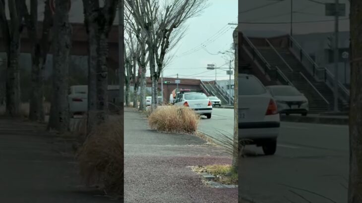 🚨パトカー🚨兵庫県警🚨パトロール🚨赤色灯🚨ミニパト🚨　#shorts