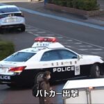 全く譲る気のないプリウスが歩行者妨害でパトカーに捕まる瞬間!