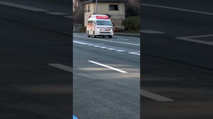 舞消東救急1号🚑️緊急走行‼️ #緊急走行 #救急車 #舞鶴消防