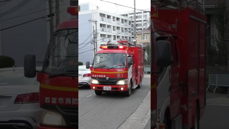 【緊急走行】西宮最古のポンプ車！西宮ポンプ小隊！！西宮1、緊急走行！！！【西宮市消防局】続きは本編にて！！！