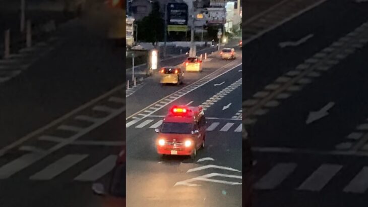 名古屋市では珍しい？SAP-500サイレンを鳴らしながら緊急走行 指揮車 #名古屋市消防局 #shorts