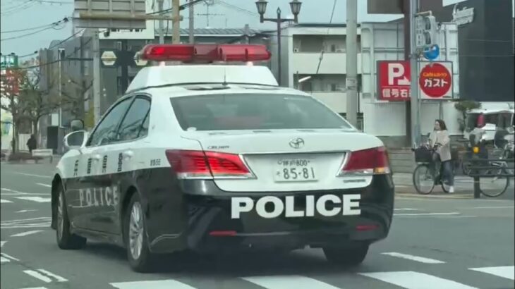 🚨パトカー🚨兵庫県警🚨パトロール🚨