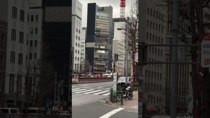 東京消防庁　四谷消防署近辺　救急車　緊急走行