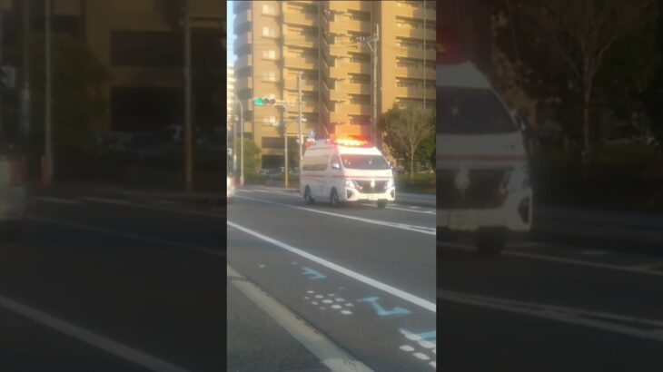 【緊急走行集】鹿児島市消防局救急車等