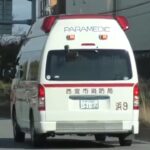 🚨西宮市消防局🚨響き渡るサイレン🚨救急車🚨緊急走行🚨赤色灯🚨