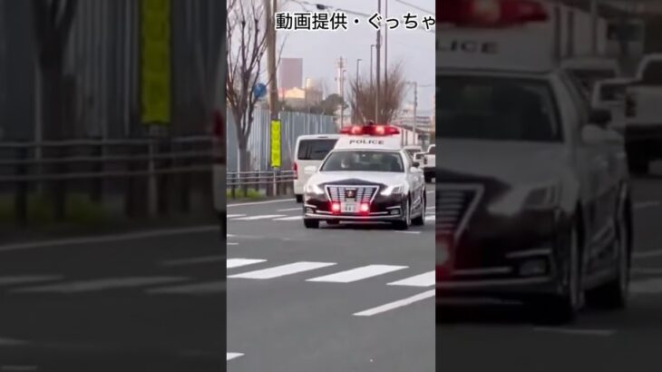 現在公開中！！！パトカー緊急走行🚨