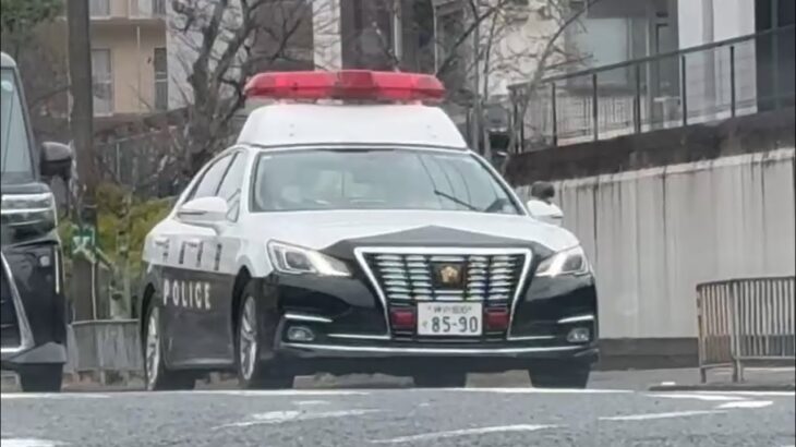 🚨兵庫県警🚨パトカー🚨パトロール🚨