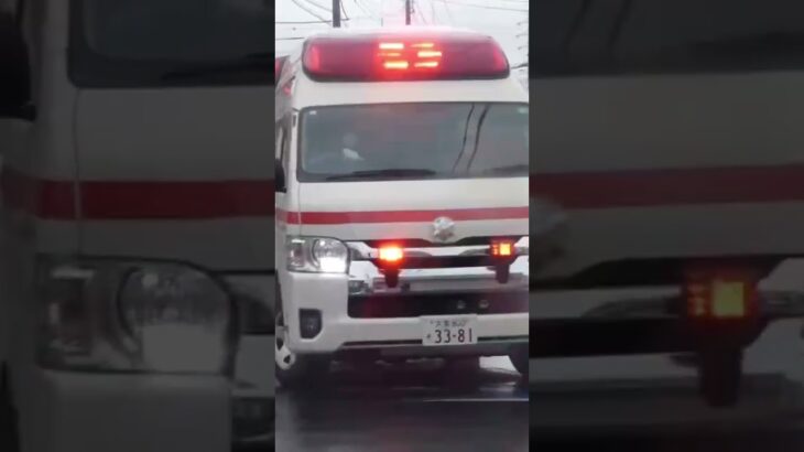 救急南1緊急走行❗️