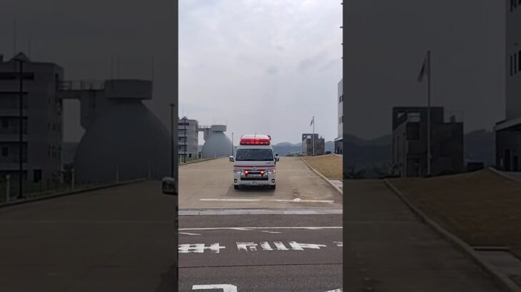 上越消防署管内急病出動新型上越救急1🚑💨