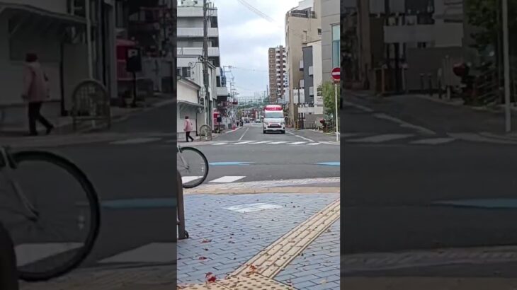枚方寝屋川消防本部:緊急走行枚方救急1#緊急走行#救急車 #枚方寝屋川消防本部#kami