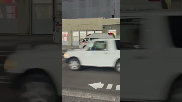 さいたま市消防局植竹救急2