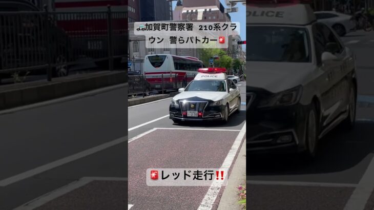 【レッド走行🚨】神奈川県警察 加賀町警察署 210警クラウン パトカー #緊急車両 #パトカー #神奈川県警察 #赤色灯 #パトロール