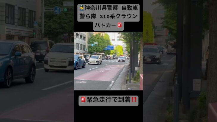 【緊急走行🚨】神奈川県警察 自動車警ら隊 210系クラウンパトカー #緊急車両 #緊急走行 #神奈川県警察 #自動車警ら隊 #自ら隊 #事件 #110番 #パトカー #クラウン