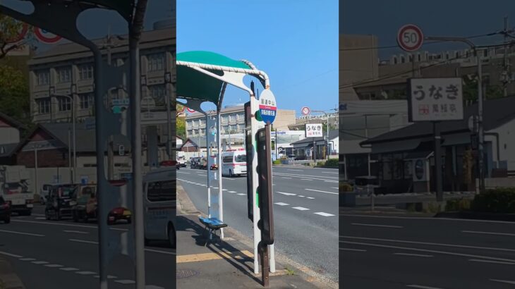 救急車緊急走行 6  #緊急走行 #救急車 #消防署