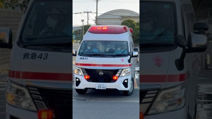 #福岡市消防局 #救急車 #新車 今日の夜7:00から公開！福岡市初の可変ビーコン搭載！中央本署第1救急隊 救急43(福岡中央米穀1号)緊急出動