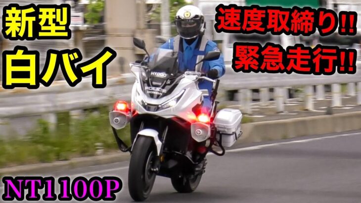 【新型白バイ‼️】緊急走行で違反車を猛追‼️ 速度取り締まり‼️　[サイレン NT1100P]