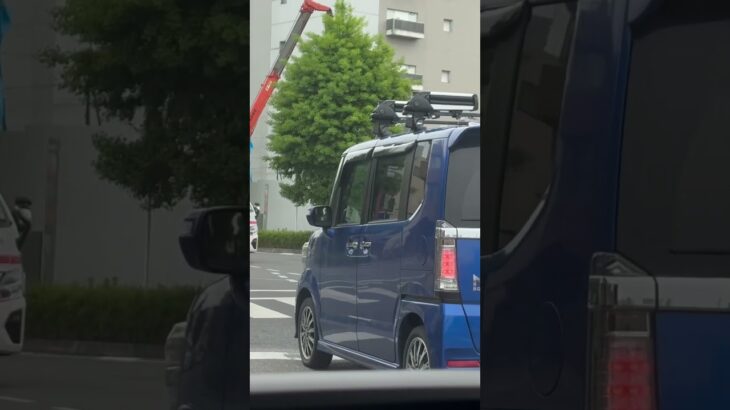 ハイメディックもいいけどパラメディクもいい！NV350ベースの救急車！#緊急車両 #救急車 #緊急走行