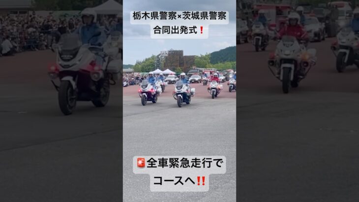 【🚨全車緊急走行‼️】栃木県警察×茨城県警察 合同出発式inもてぎ #モビリティリゾートもてぎ #栃木県警察 #茨城県警察 #緊急車両 #緊急走行 #パトカー #GTR #NSX #フェアレディz