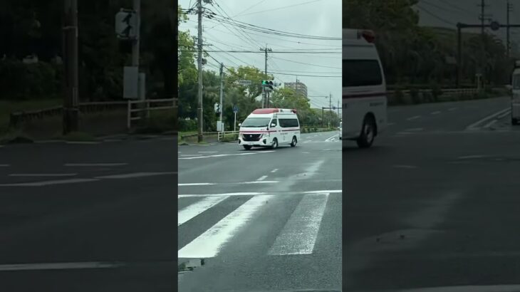 【救急車緊急走行】鹿児島市消防局南署 郡元分遣隊 shortバージョン #救急車 #緊急走行