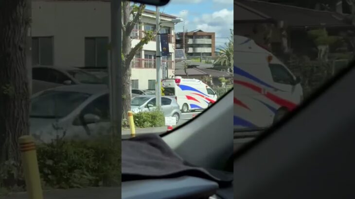🚨大阪大学医学部附属病院🚨救急車🚨緊急走行🚨響き渡るサイレン🚨赤色灯🚨　#shorts