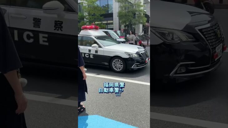 博多中州　緊急走行  　福岡県警　自動車警ら隊　　#博多#中州#福岡県警#緊急走行#自動車警ら隊#shorts