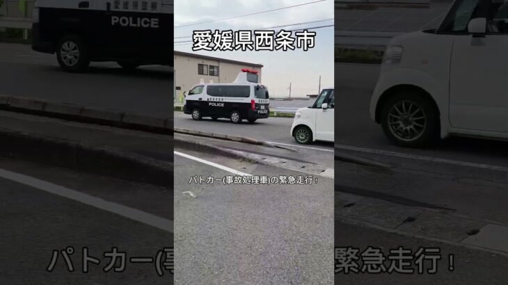 愛媛県警察 パトカー(事故処理車)の緊急走行！ #shorts