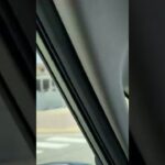 🚨兵庫県警🚨パトカー🚨　#shorts
