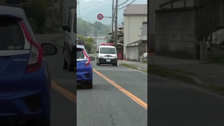 🚨兵庫県警🚨パトカー🚨パトロール🚨赤色灯🚨　#shorts