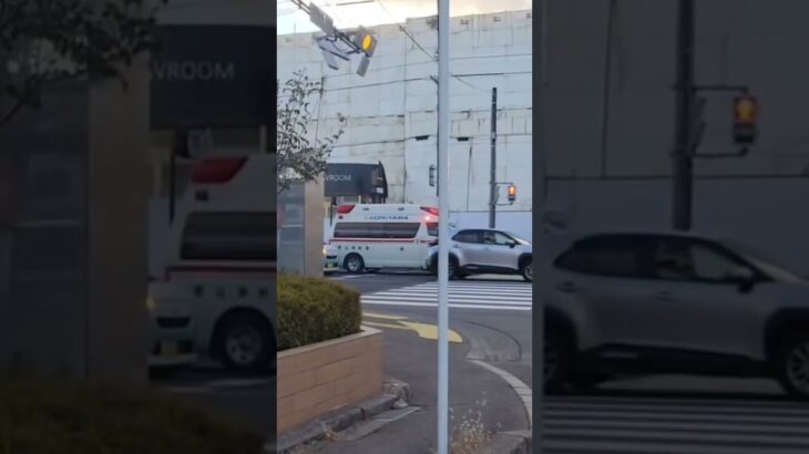 針生救急と太田西ノ内病院ドクターカーの迫力の緊急走行‼️ #バズれ #緊急車両