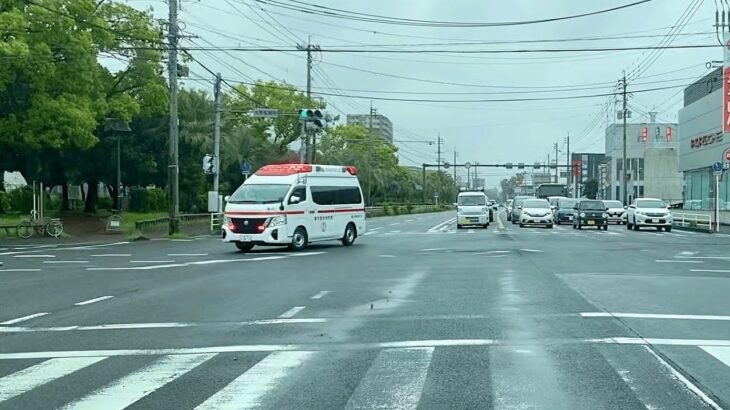 【救急車緊急走行】鹿児島市消防局南署 郡元分遣隊 パラメディック