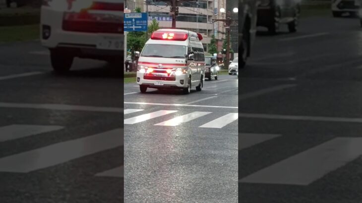 【緊急走行】鹿児島市消防局南林寺救急隊