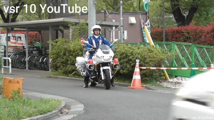 【白バイ目線！！】一時停止取り締まりに密着！！停止線でむしろ加速するヤバすぎる運転手に制裁！•まさに一時停止無法地帯！！白バイ目線で見る取り締まり！•家族でドライブ！白バイに捕まりテンションガタ落ち！