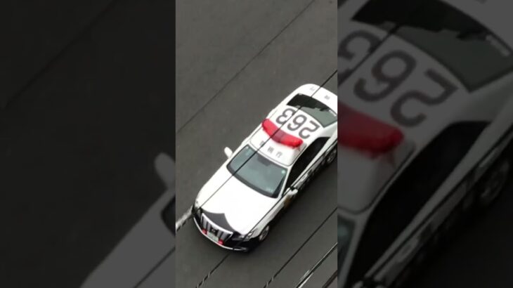 クラウンロイヤルのパトロールカーが緊急走行