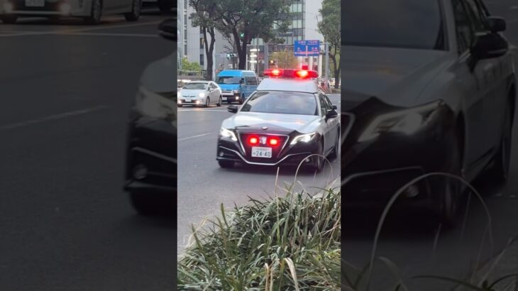 【緊急走行】名駅前で事件⁉︎パトカーが集結！愛知県警察　中村警察署 #警察 #緊急車両 #緊急走行 #愛知県警