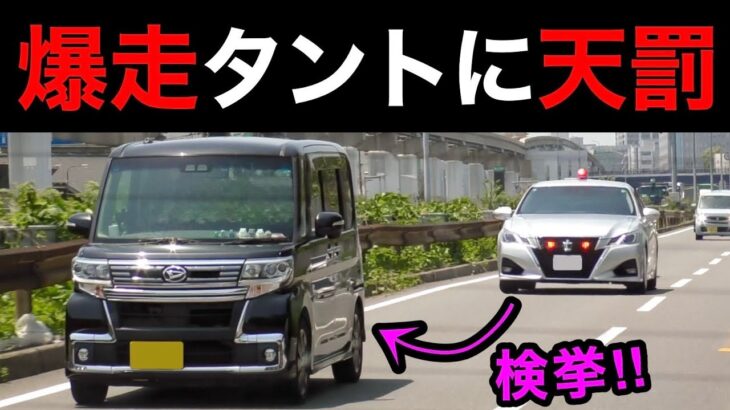 一般道を爆走するタントカスタムが覆面パトカーに捕まる‼️　[サイレン 警察 取り締まり スカッと]