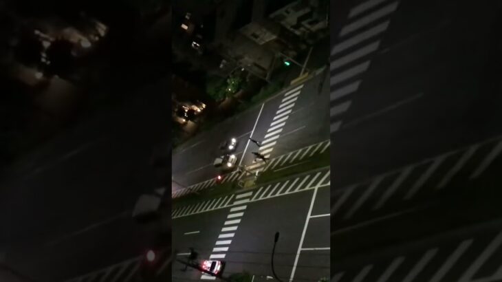 パトロールカー　緊急走行