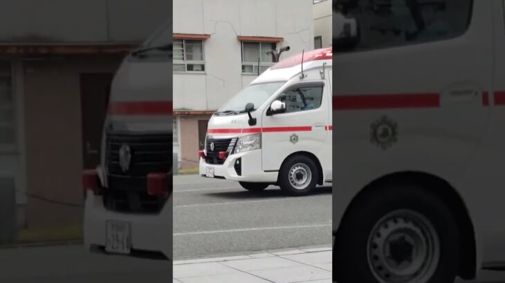 薩摩川内市消防局 中央消防署南部分署 南部救急 #救急車