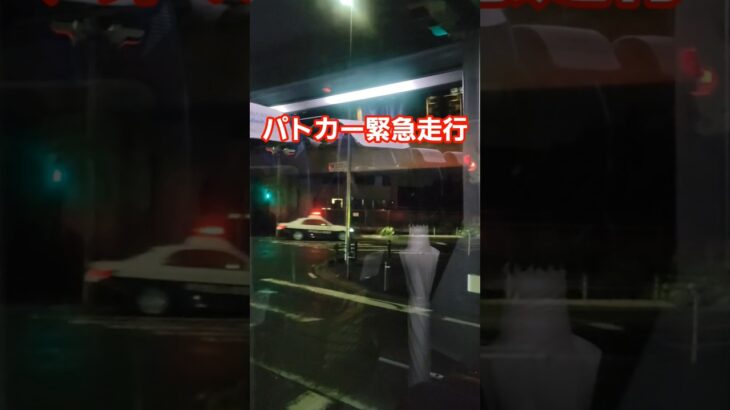 【緊急走行中‼️】パトカー緊急走行
