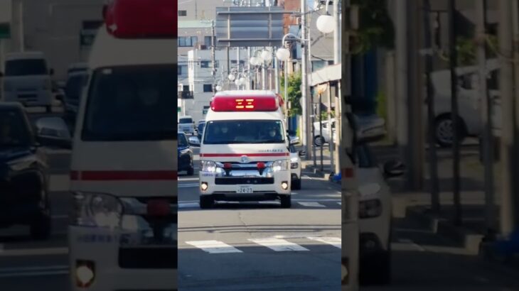 【緊急走行】小田原市消防本部・小田原救急１緊急走行